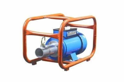 Crompton Concrete Vibrator 2 HP